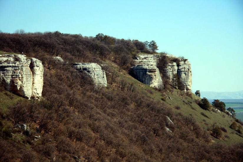 Каштанове з panoramio.com - Каштановое