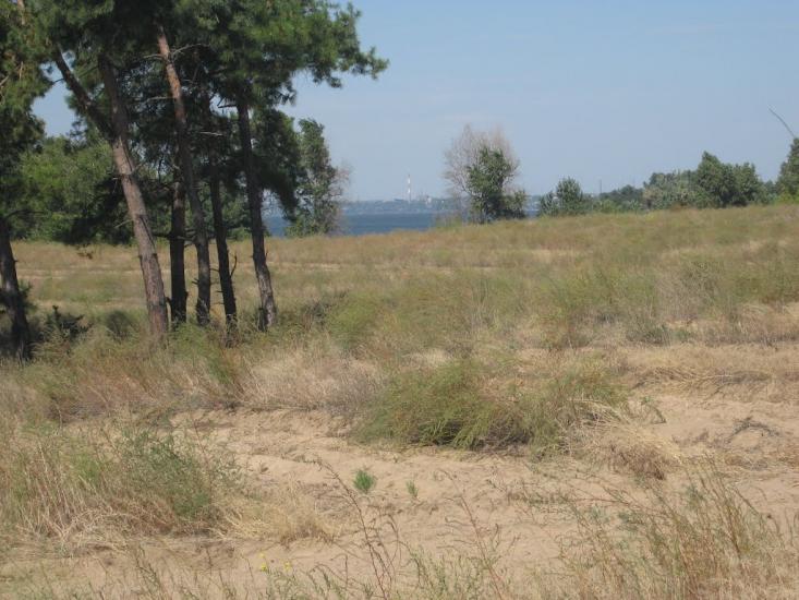 Кам'янка-Дніпровська з panoramio.com - Каменка-Днепровская