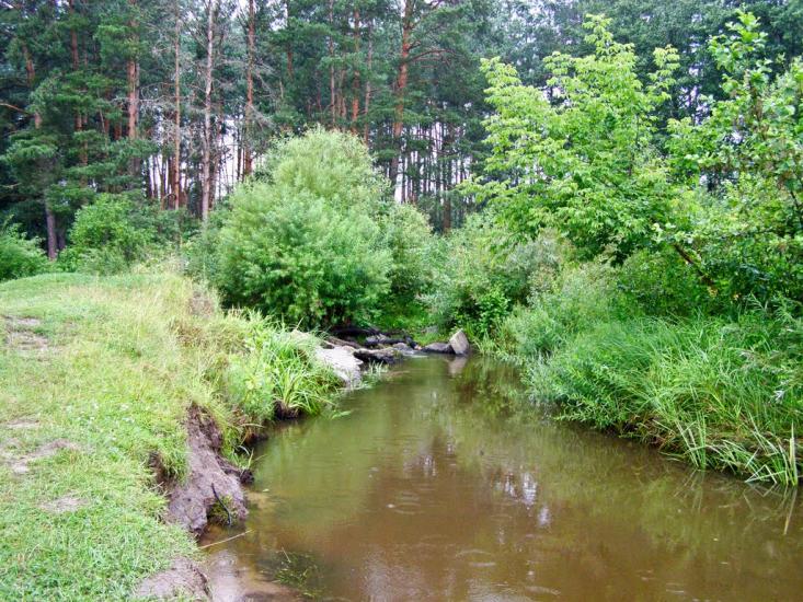 Барашівка з panoramio.com - Барашівка