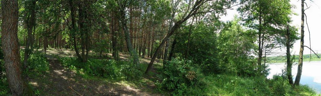 Іванковичі з panoramio.com - Иванковичи