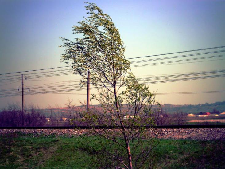 Ванчиківці з panoramio.com - Ванчиковцы