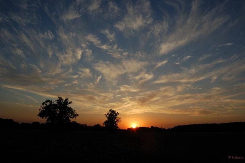 Нижнє з panoramio.com - Nyzhnye