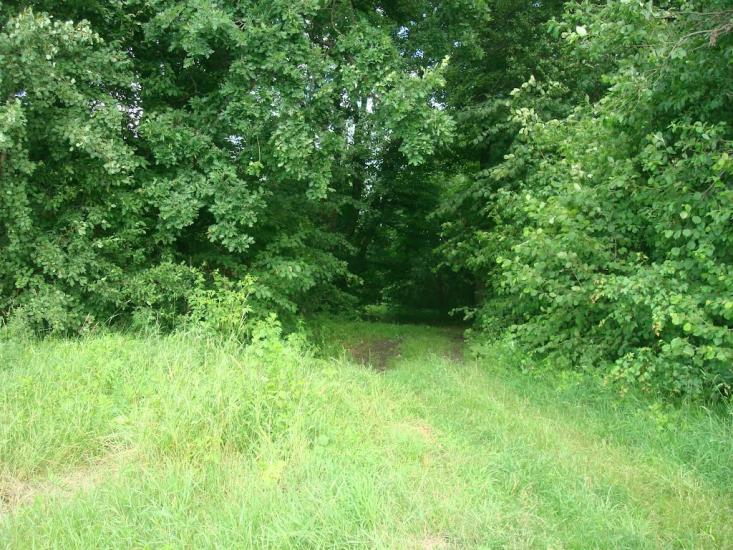 Грузевиця з panoramio.com - Грузевиця