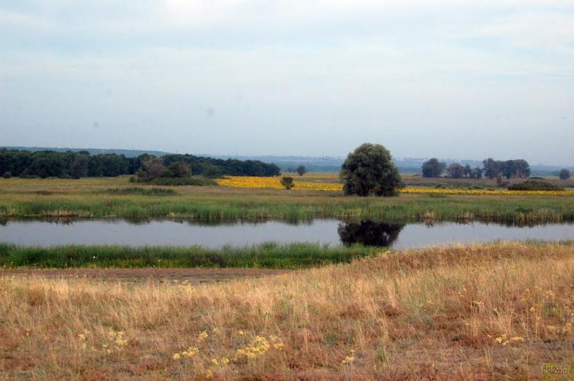 Борівське з panoramio.com - Борівське