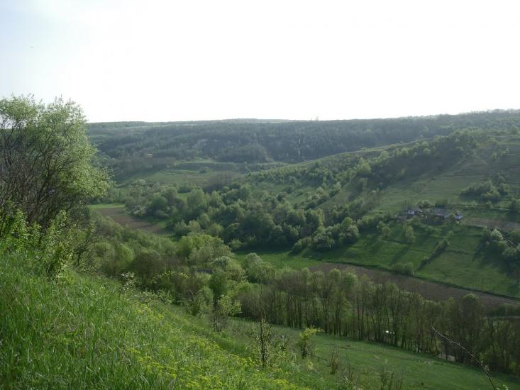 Маціорськ з panoramio.com - Мациорск