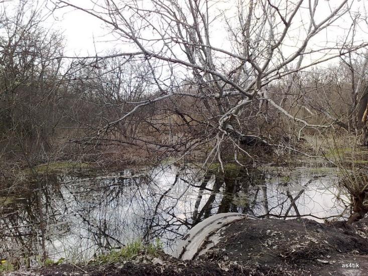 Щастя з panoramio.com - Счастье