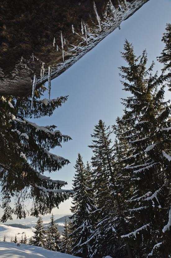 Черетів з panoramio.com - Черетов