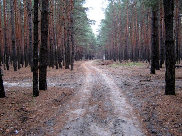 Ківшарівка з panoramio.com - Ковшаровка