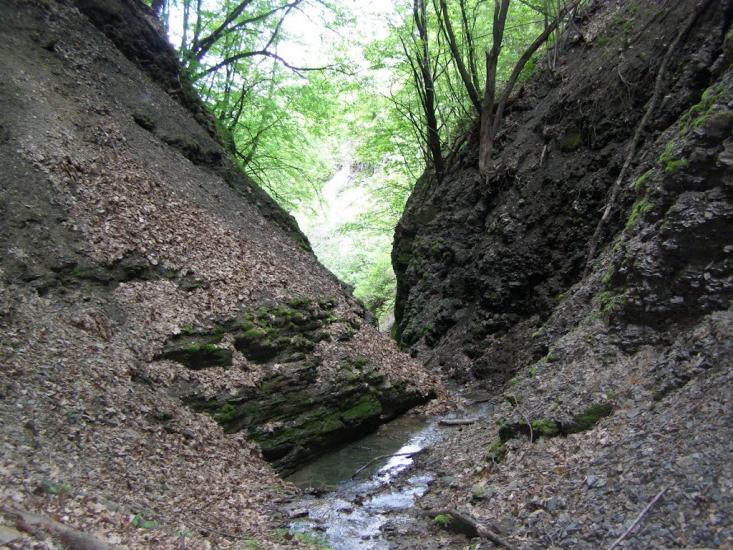 Черкасівка з panoramio.com - Cherkasivka