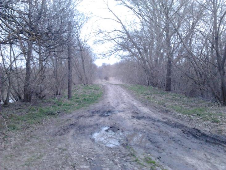 Рогачі з panoramio.com - Рогачи