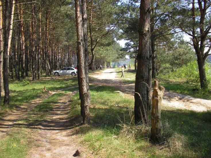 Забороль з panoramio.com - Забороль