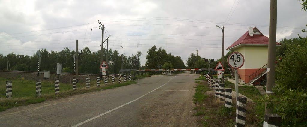 Засупоївка з panoramio.com - Засупоевка