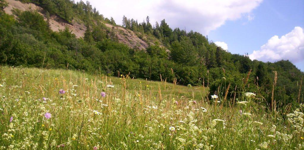 Кам'янка з panoramio.com - Каменка
