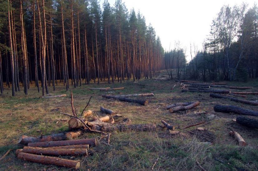 Осколонівка з panoramio.com - Осколонівка