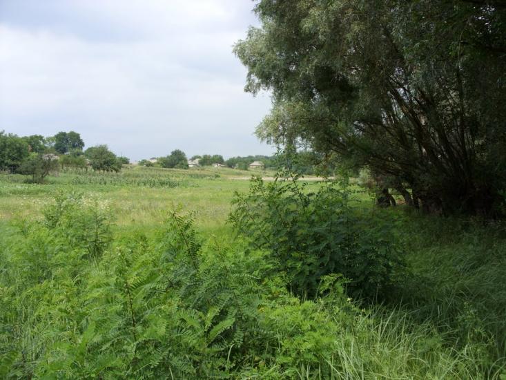 Хорішки з panoramio.com - Хорішки