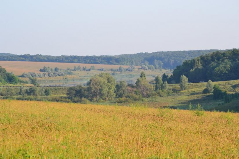 Грабовське з panoramio.com - Грабовское