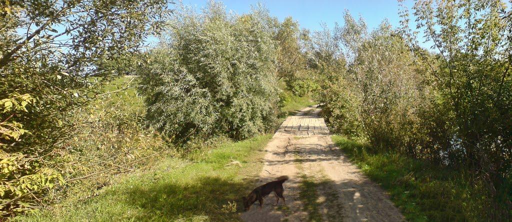 Іскрівка з panoramio.com - Іскрівка