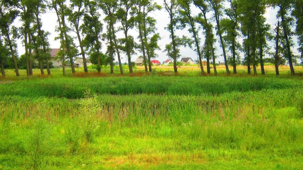 Богданівка з panoramio.com - Богдановка