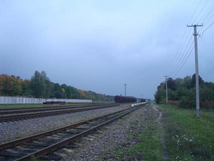 Веснянка з panoramio.com - Веснянка