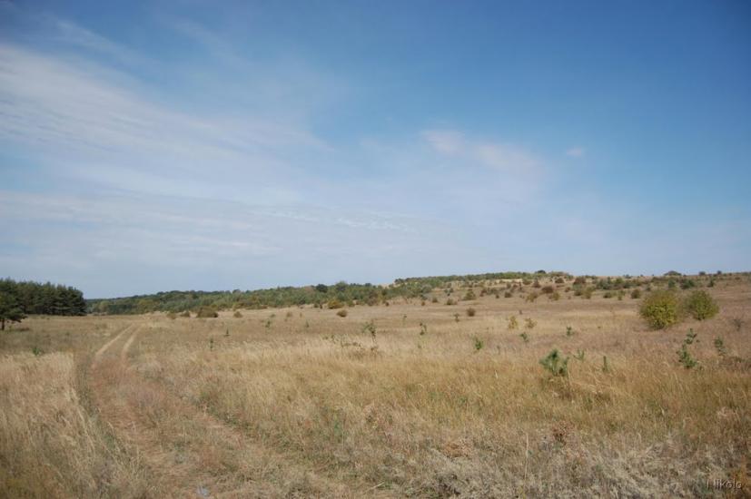 Боровеньки з panoramio.com - Боровеньки
