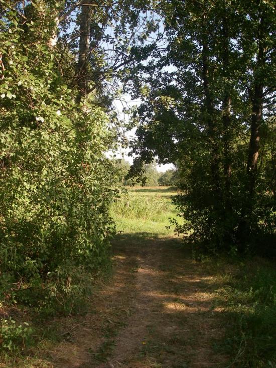 Хорол з panoramio.com - Khorol