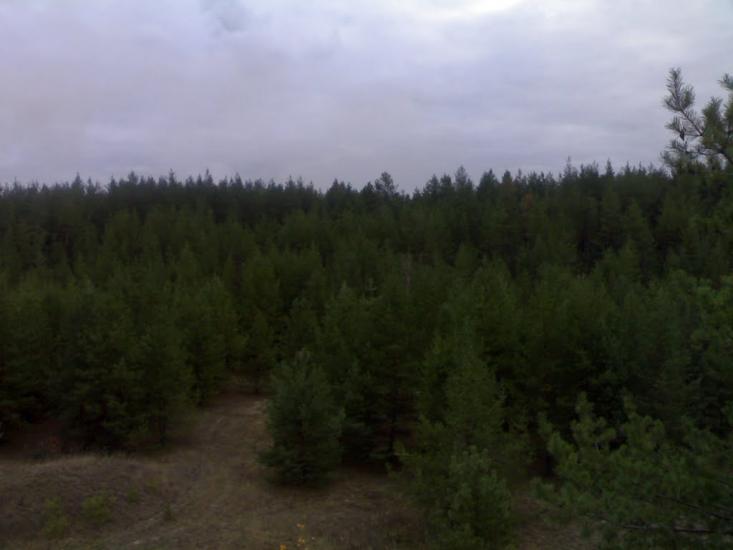 Щастя з panoramio.com - Счастье