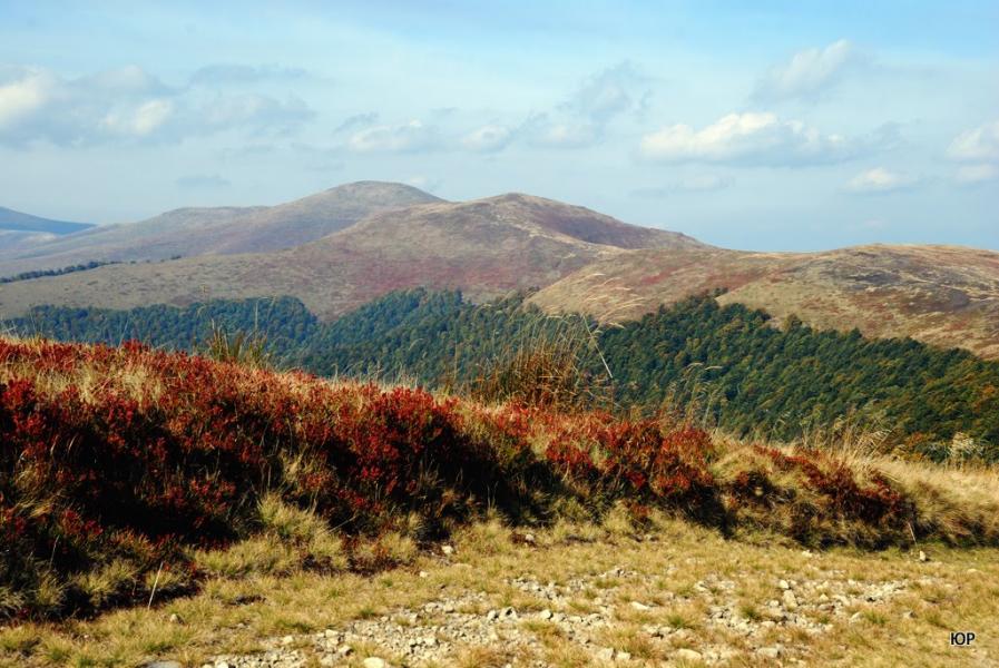 Потік з panoramio.com - Поток
