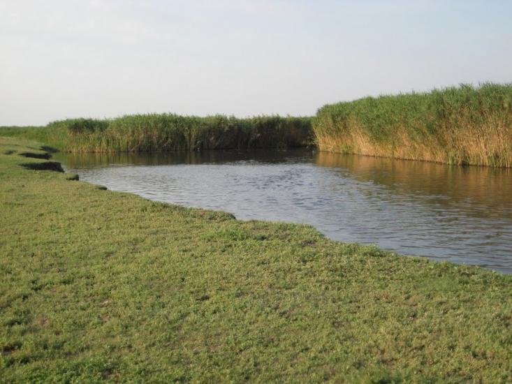Інгулка з panoramio.com - Ингулка