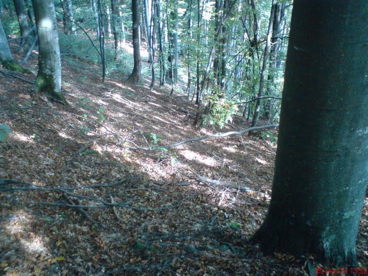 Вільшани з panoramio.com - Ольшаны