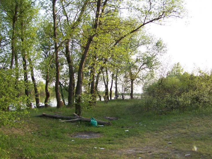 Самусіївка з panoramio.com - Самусіївка