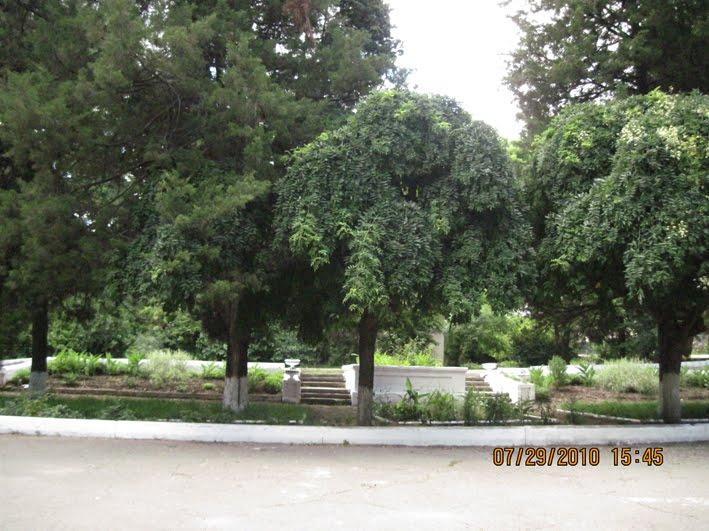 Холодна Балка з panoramio.com - Холодная Балка