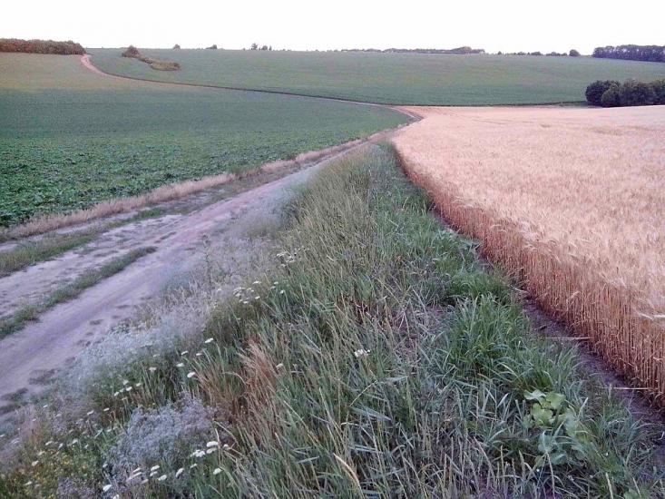 Велика Багачка з panoramio.com - Великая Багачка