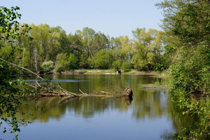 Лісне з panoramio.com - Лісне