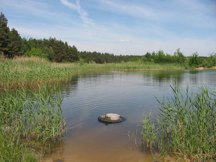 Циркуни з panoramio.com - Циркуны