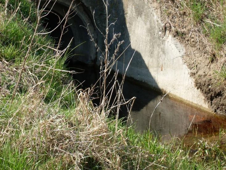 Саги з panoramio.com - Sagy