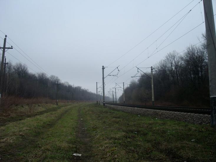 Васютинці з panoramio.com - Васютинці