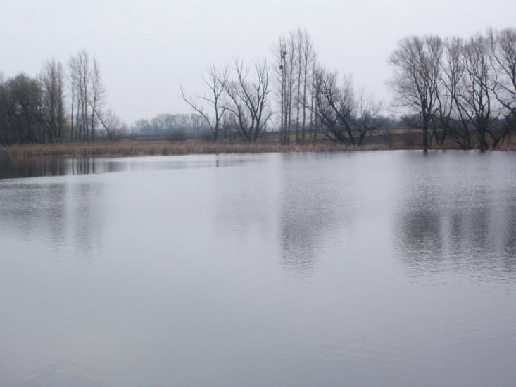 Краснопілка з panoramio.com - Краснополка