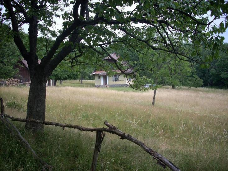 Кам'яниця з panoramio.com - Кам'яниця