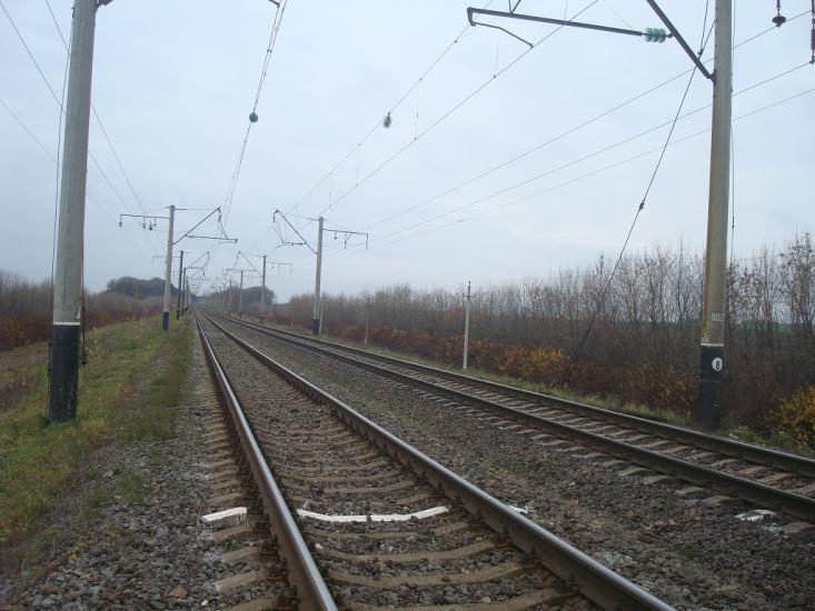 Зелена з panoramio.com - Зелена