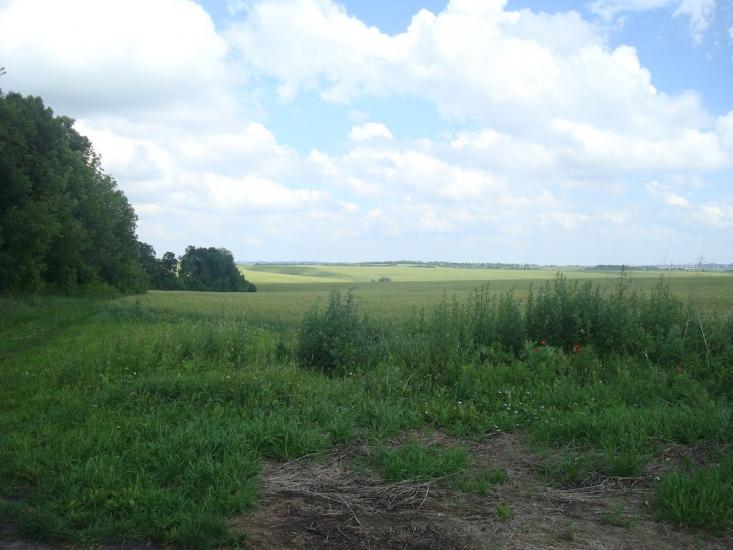 Малашівці з panoramio.com - Малашевцы