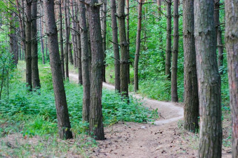 Корніївка з panoramio.com - Корніївка