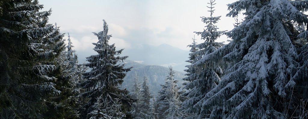 Пшонець з panoramio.com - Пшонець