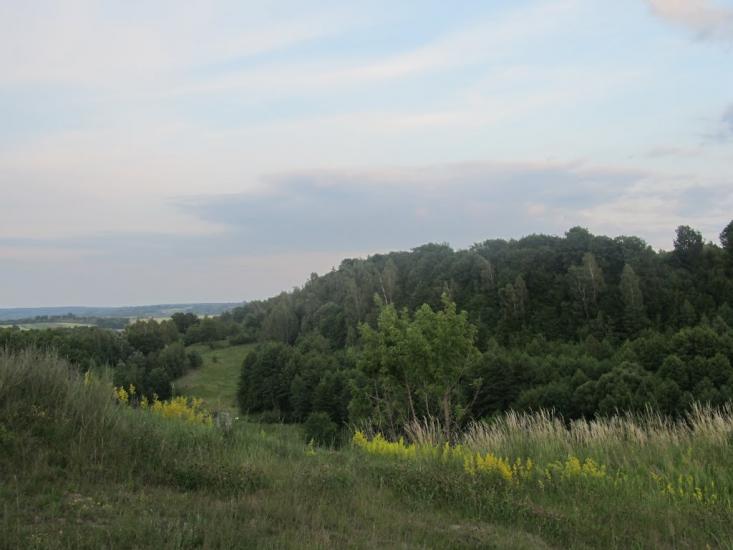 Дермань Перша з panoramio.com - Derman Persha