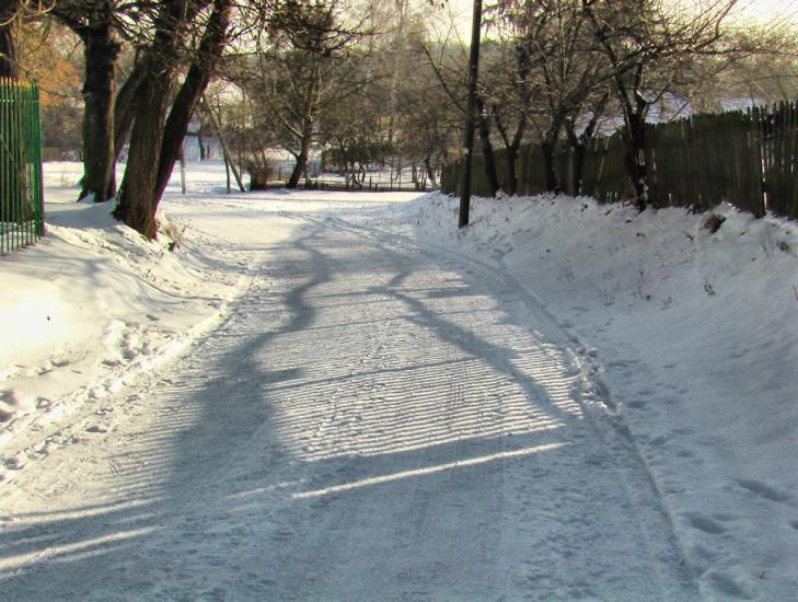 Скоморохи з panoramio.com - Скоморохи