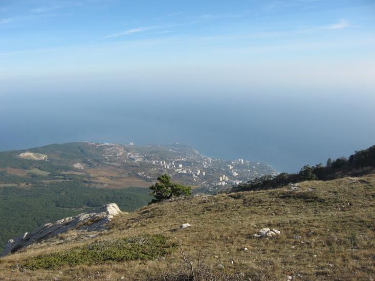 Відрадне з panoramio.com - Відрадне