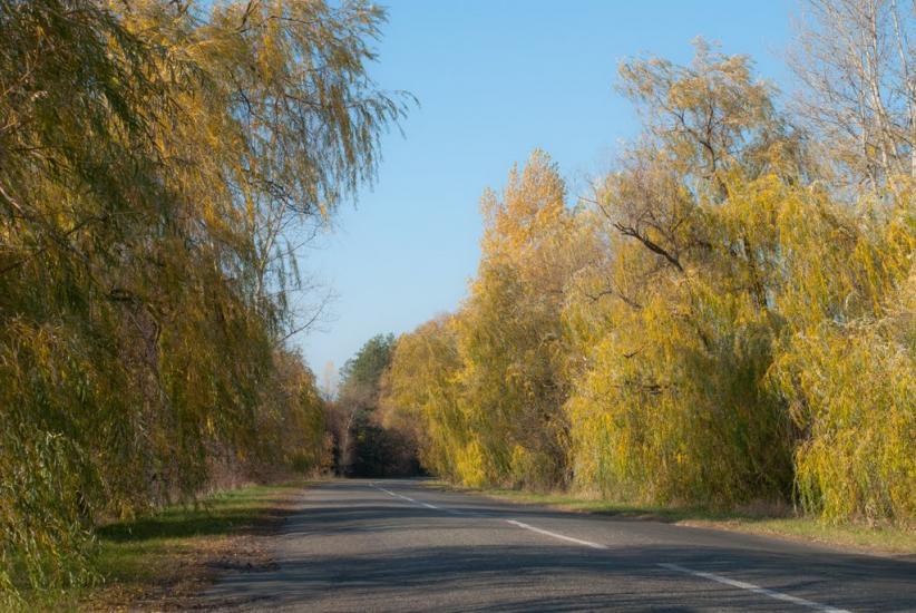 Липовий Скиток з panoramio.com - Липовий Скиток