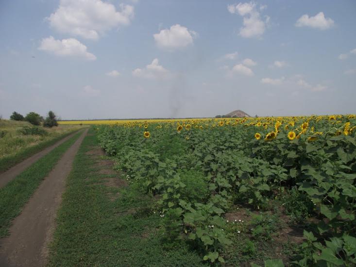 Звірове з panoramio.com - Зверево
