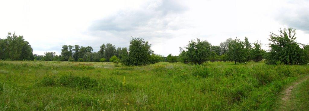 Глоди з panoramio.com - Glody