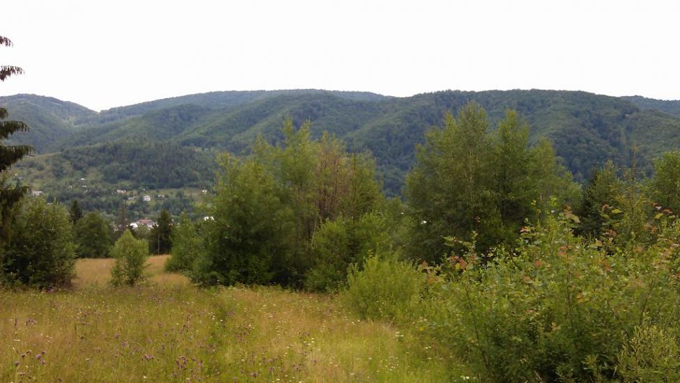 Прокурава з panoramio.com - Прокурава