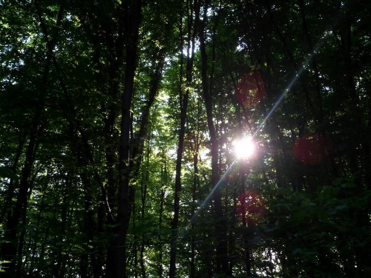 Мала Мочулка з panoramio.com - Мала Мочулка